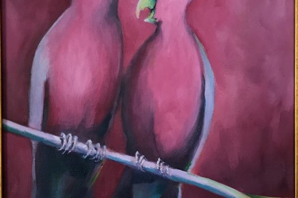 Galahs